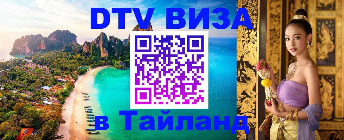 Сколько стоит DTV виза — актуальные цены, оформление даже без документов - Амстердам  06.12.2025 